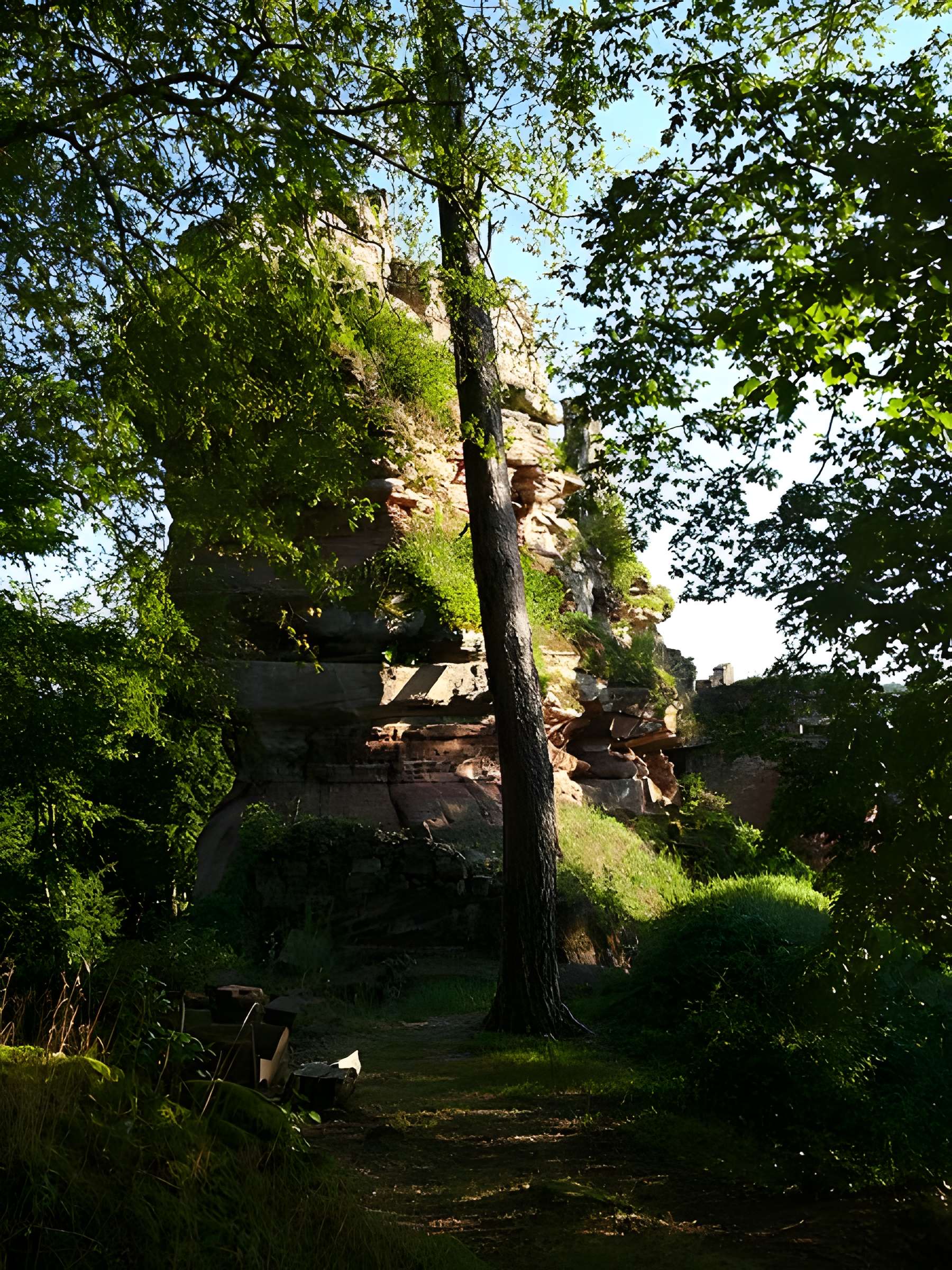 Ruines du château de Schoeneck