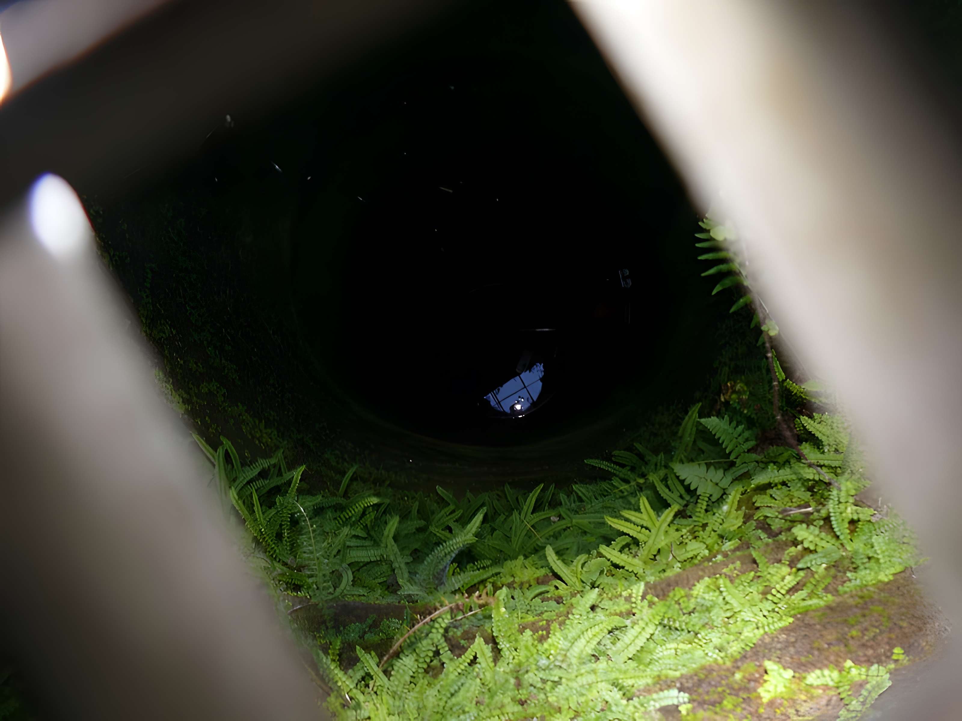 Ruines du château de Schoeneck