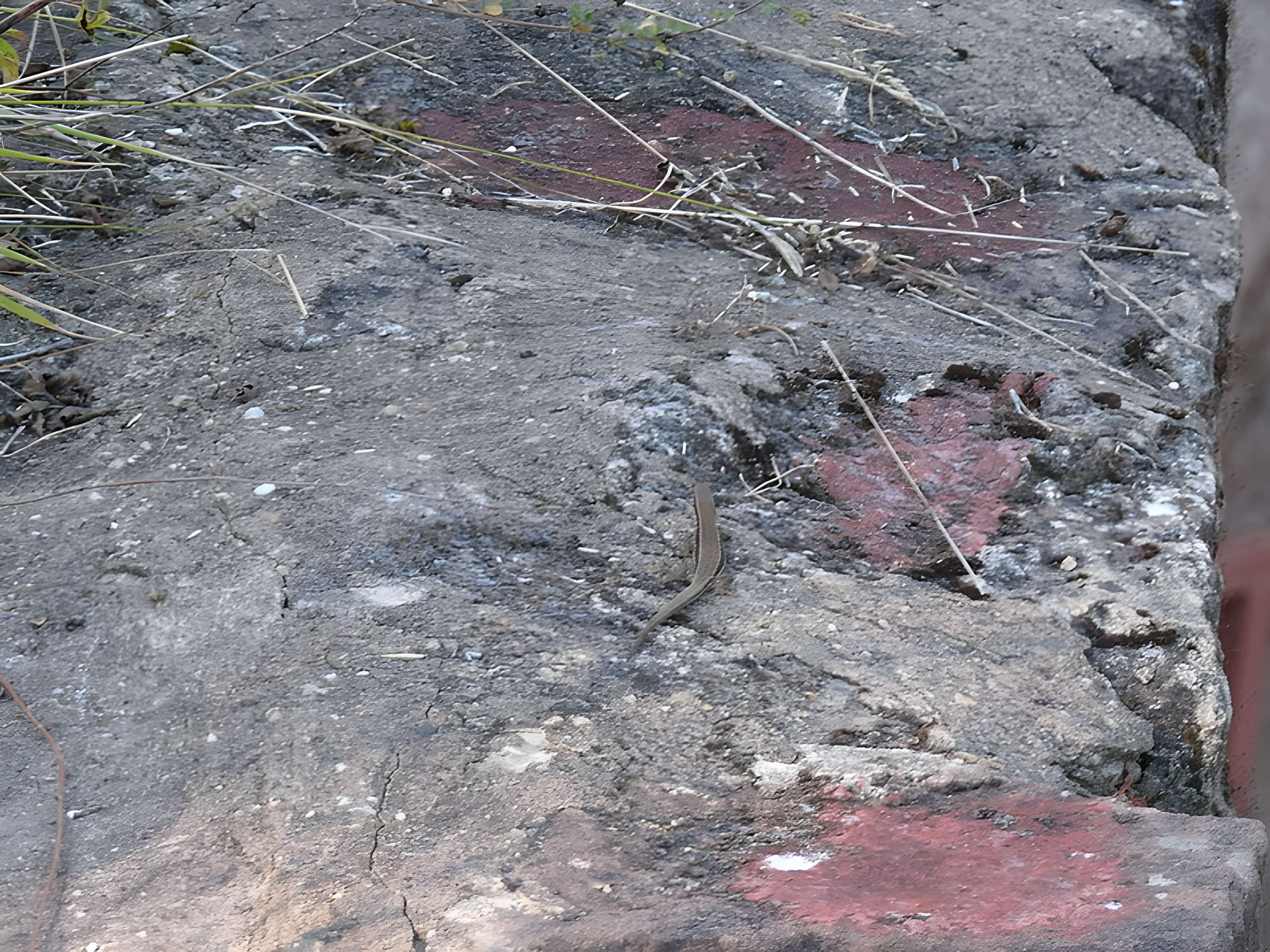 Ruines du château de Schoeneck