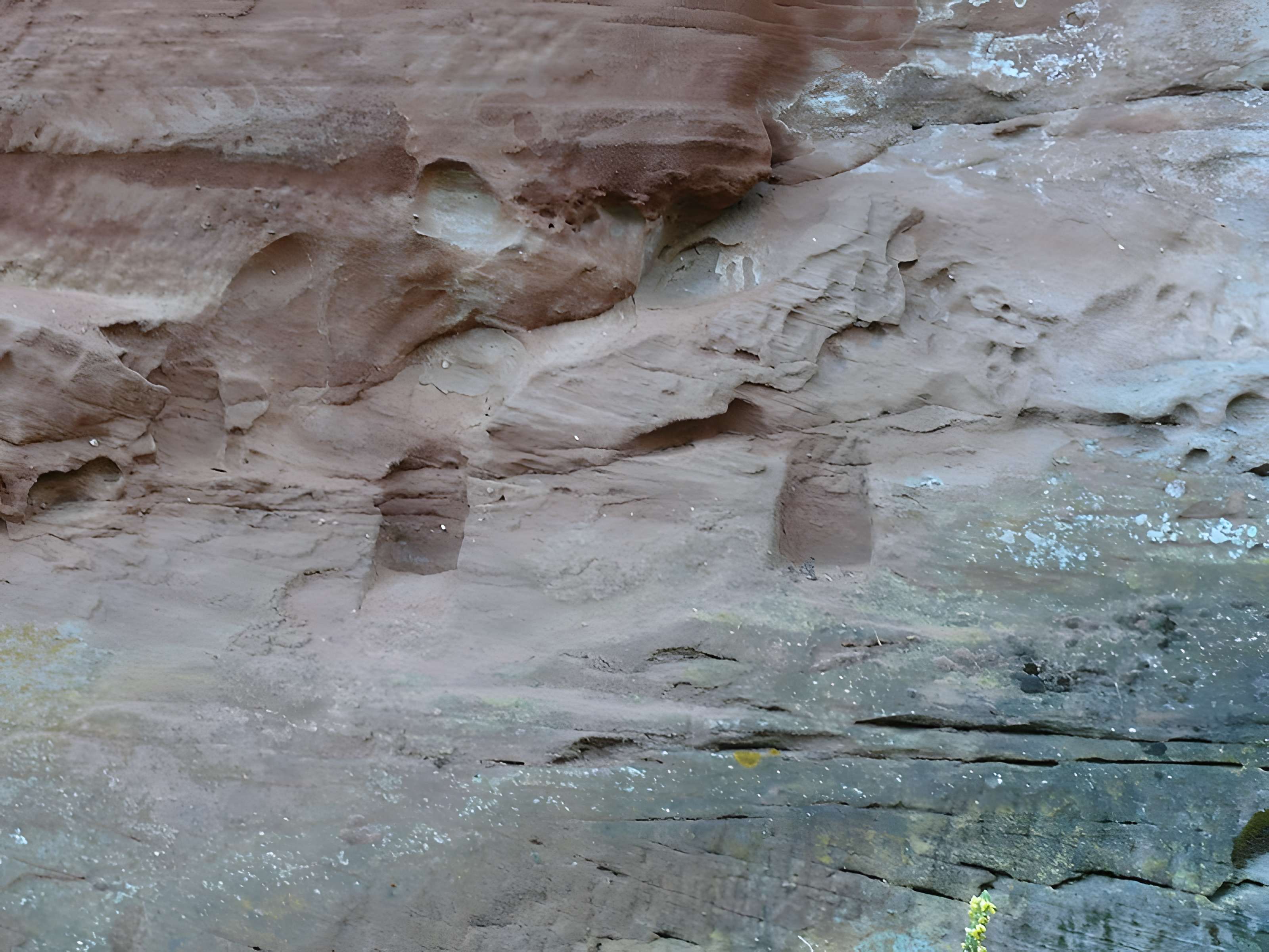 Ruines du château de Schoeneck