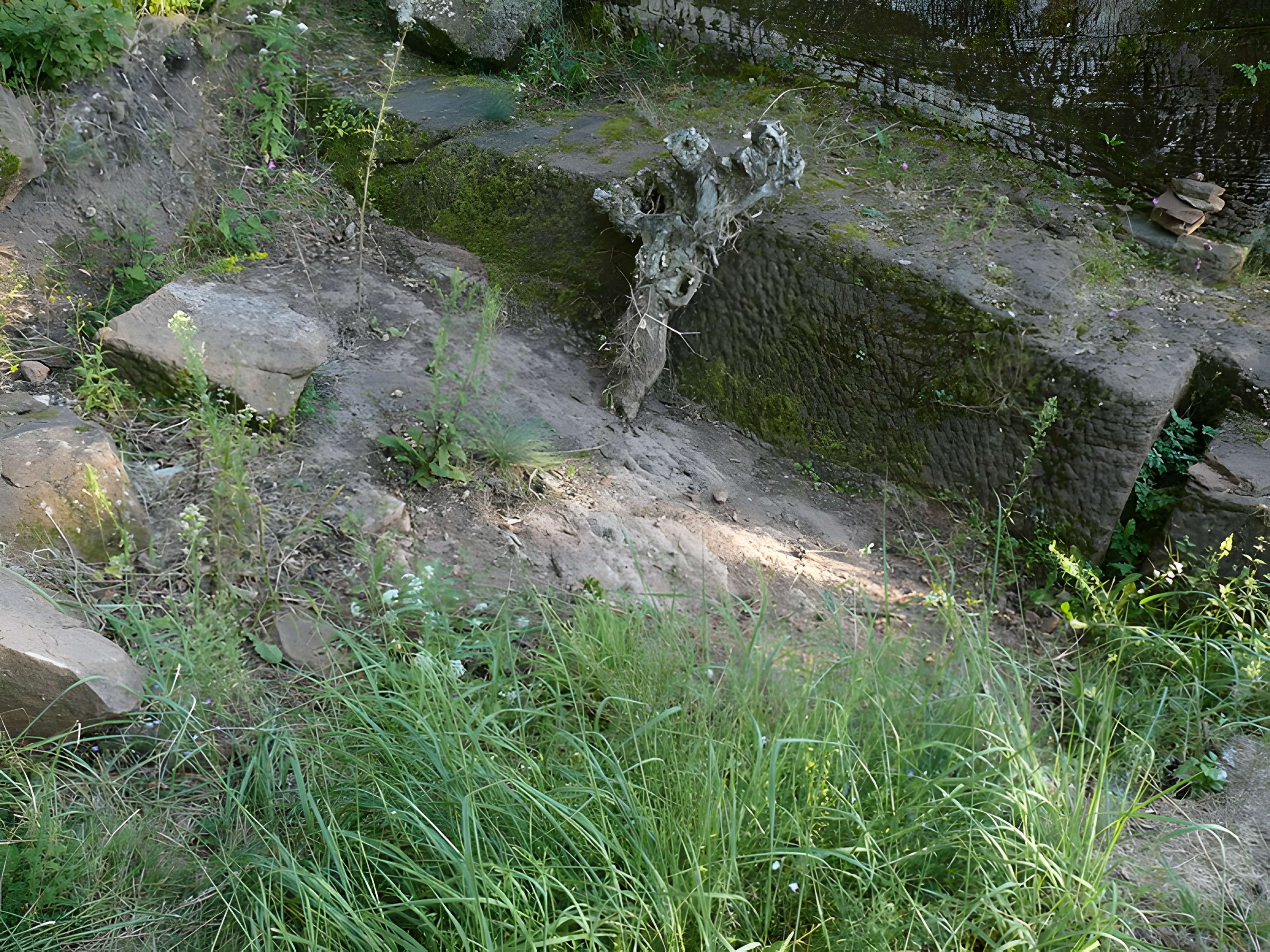 Ruines du château de Schoeneck