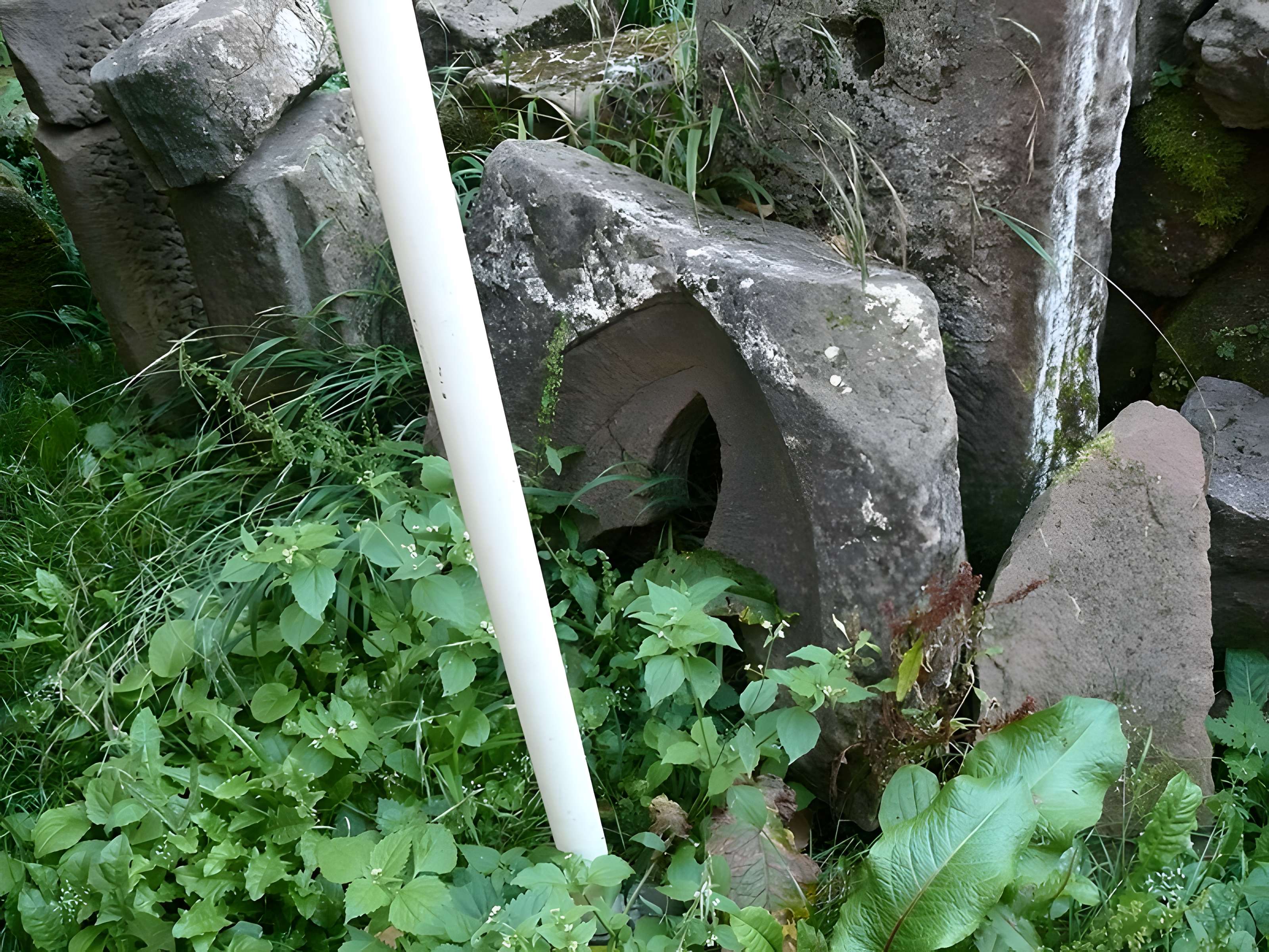 Ruines du château de Schoeneck