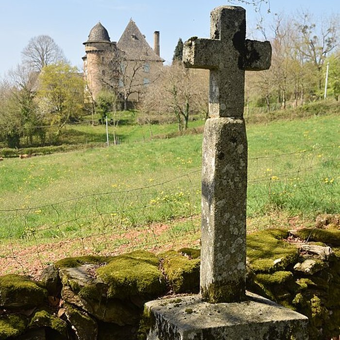 Photo de Château de Selves