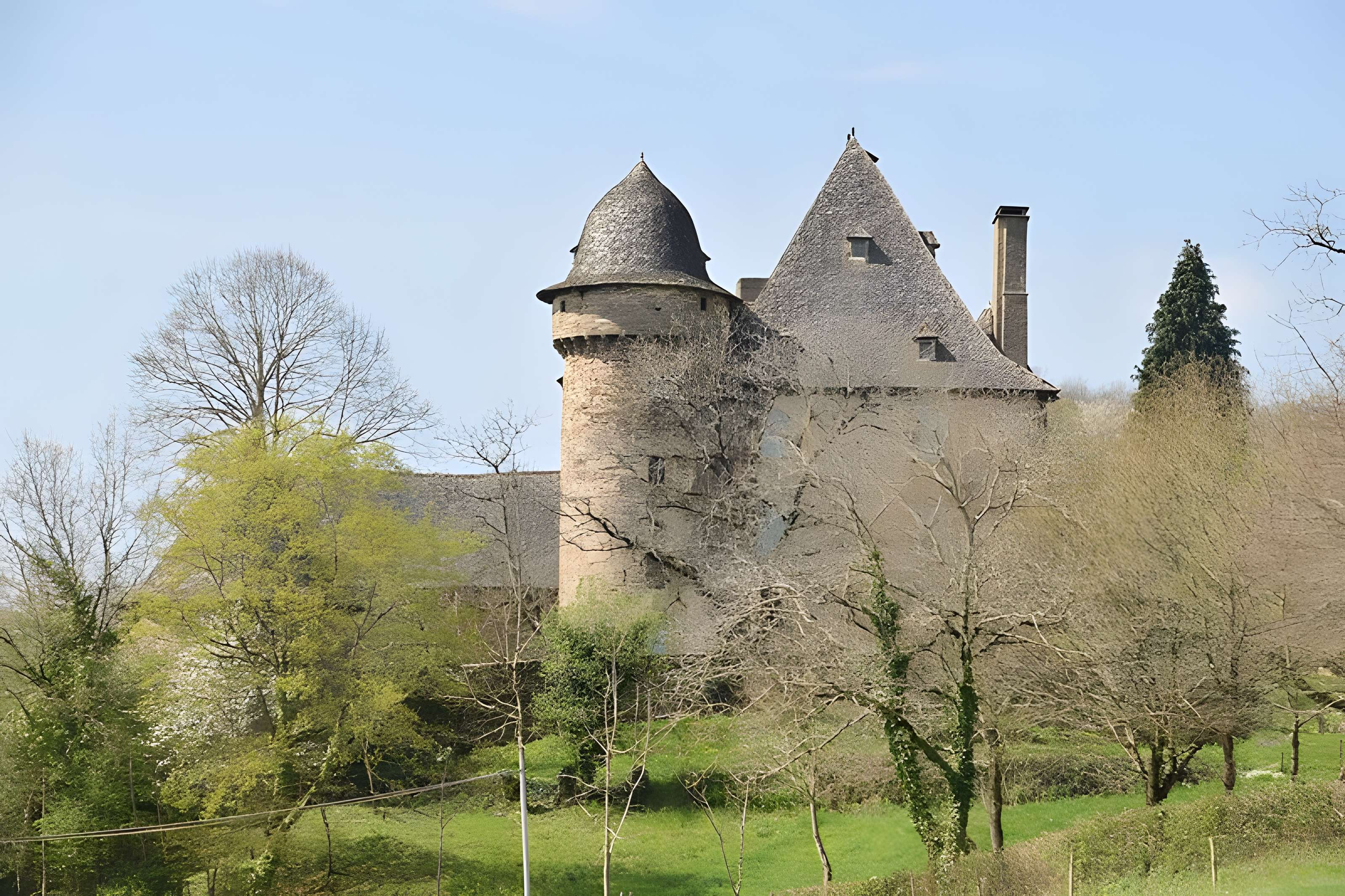 Château de Selves