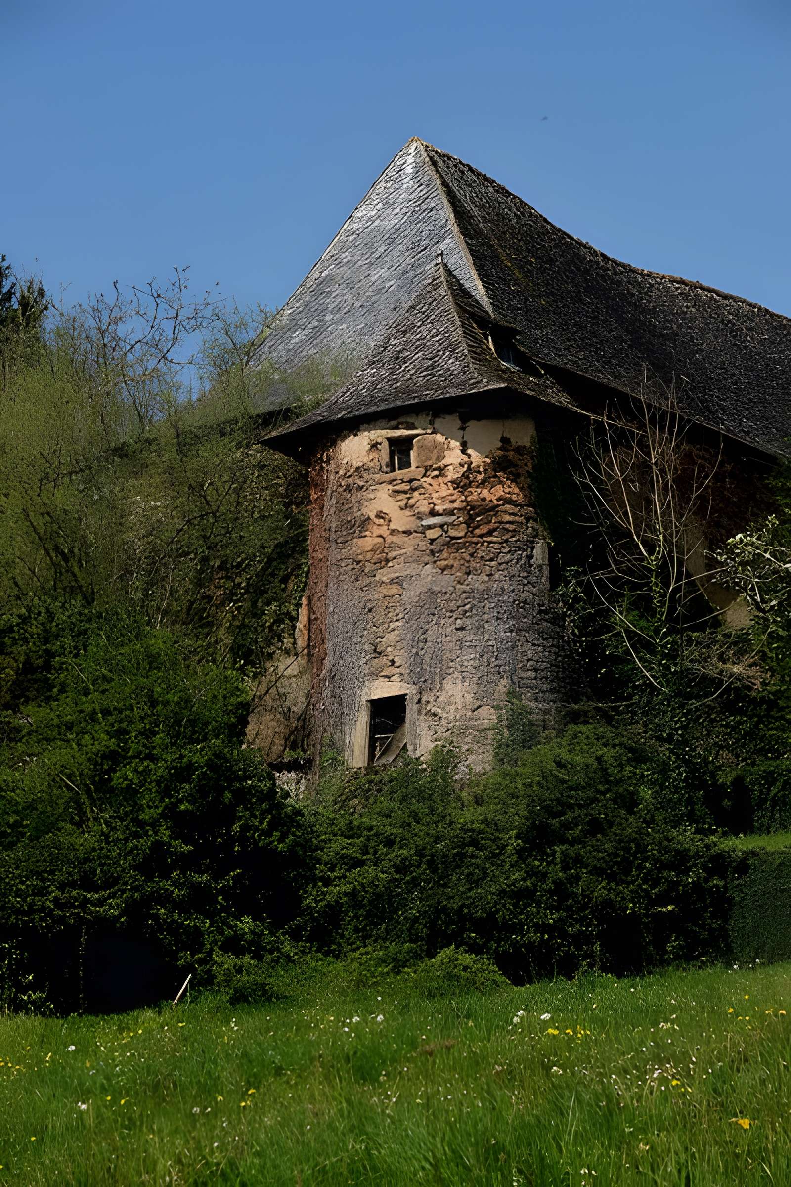 Château de Selves