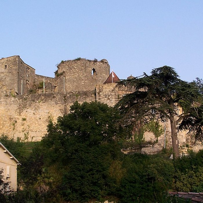 Photo de Château de Langoiran