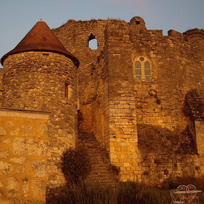 Photo de Château de Langoiran