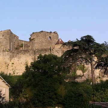 Château de Langoiran