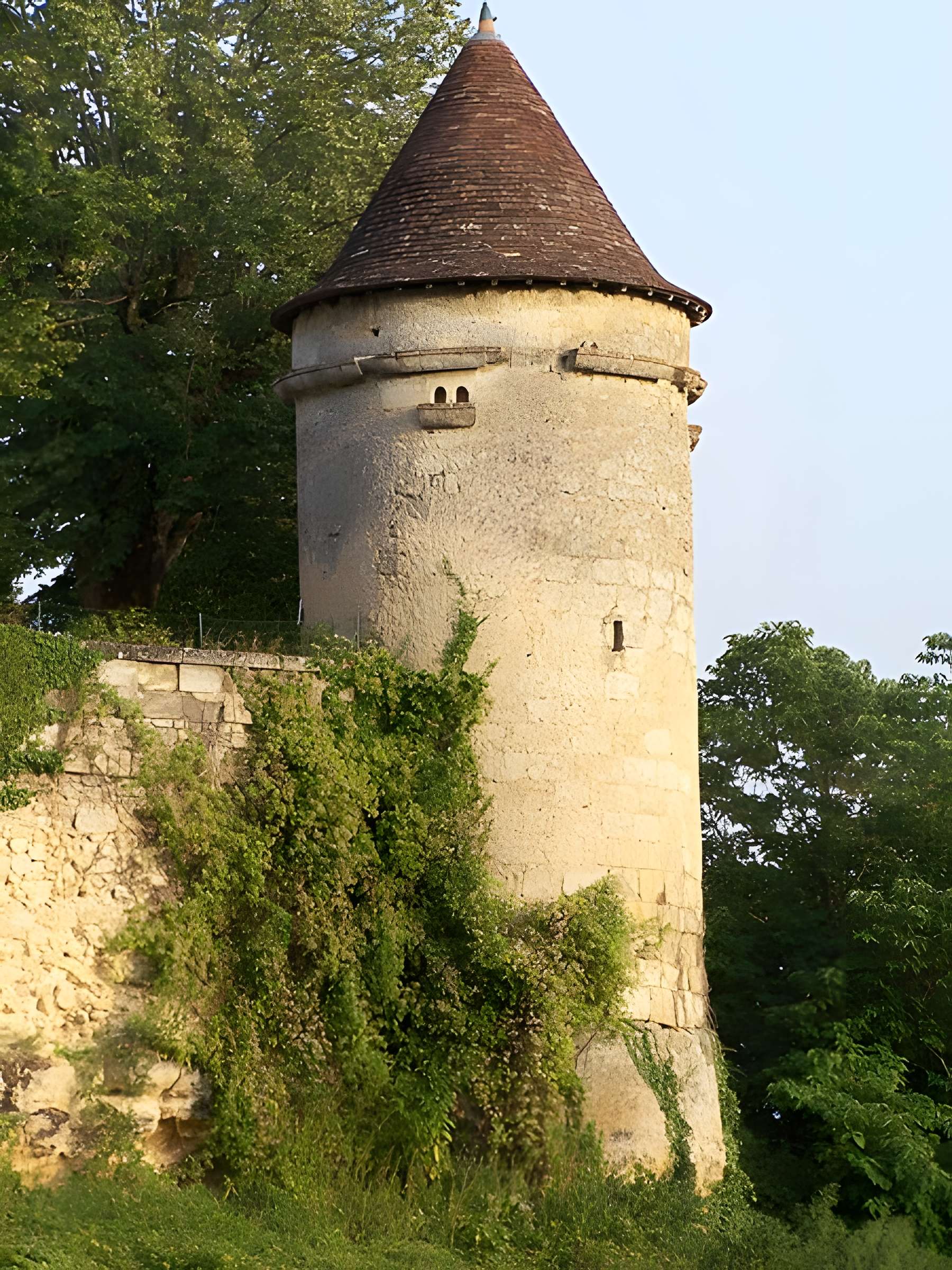 Château de Langoiran
