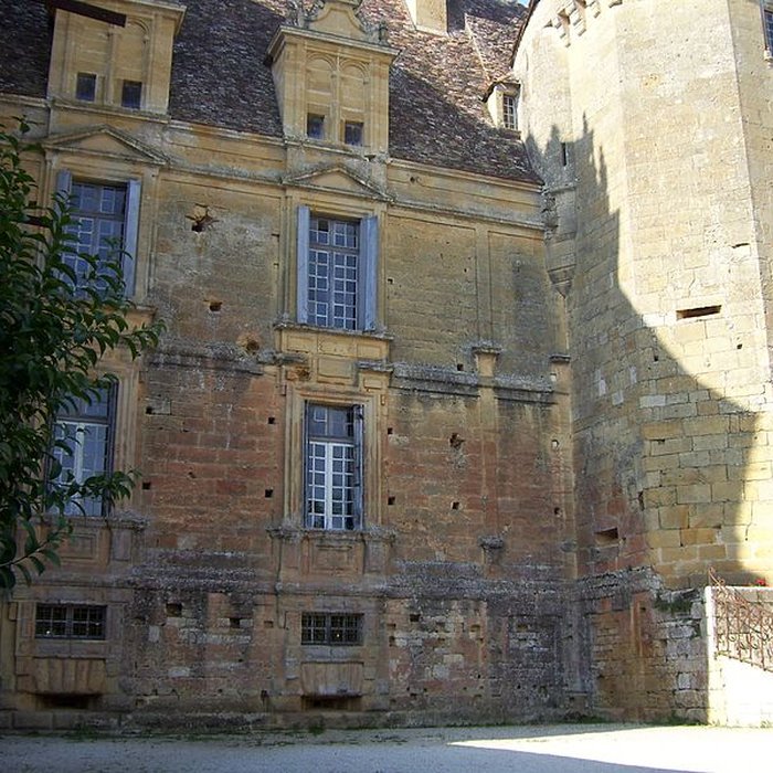 Photo de Château de Lanquais
