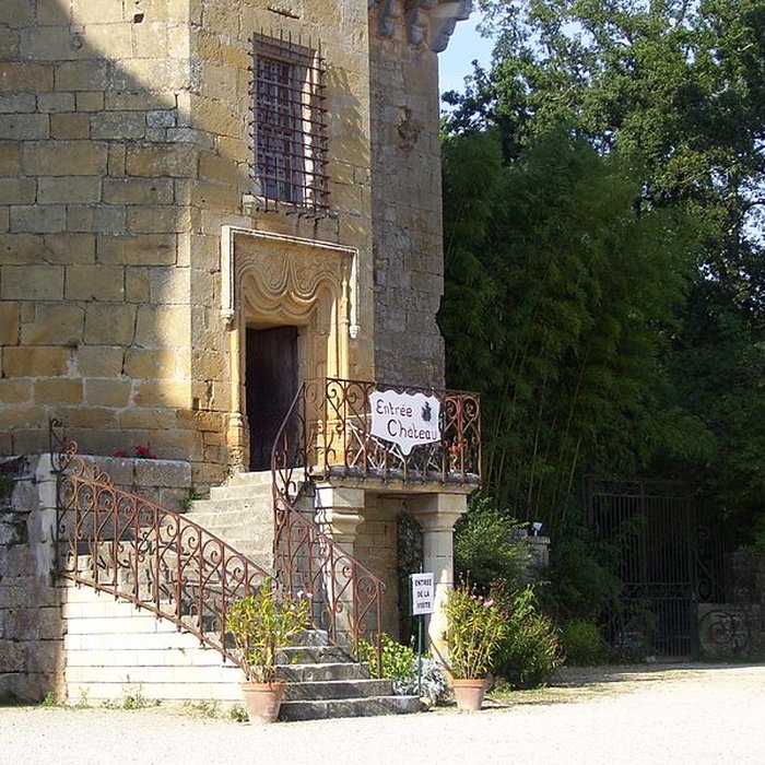 Photo de Château de Lanquais