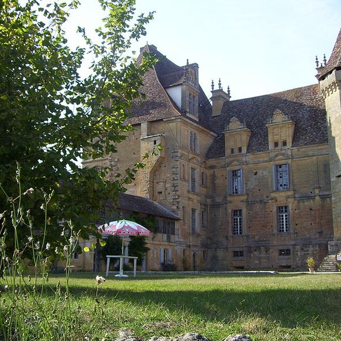Photo de Château de Lanquais
