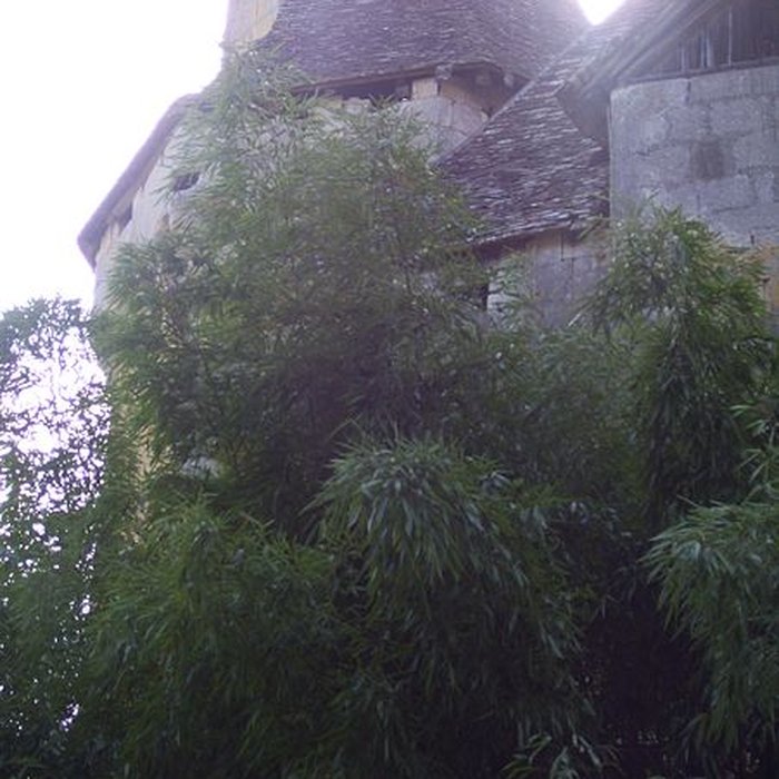 Photo de Château de Lanquais