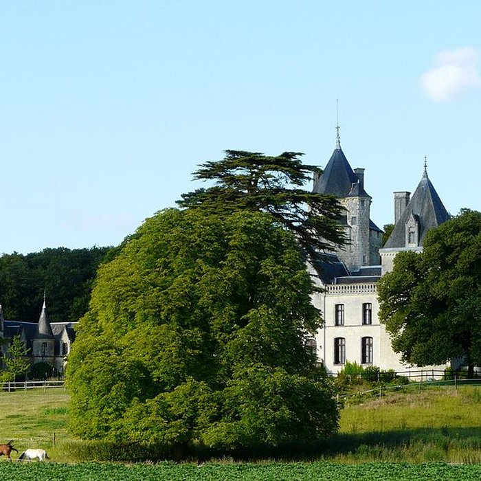 Photo de Château de Ternay