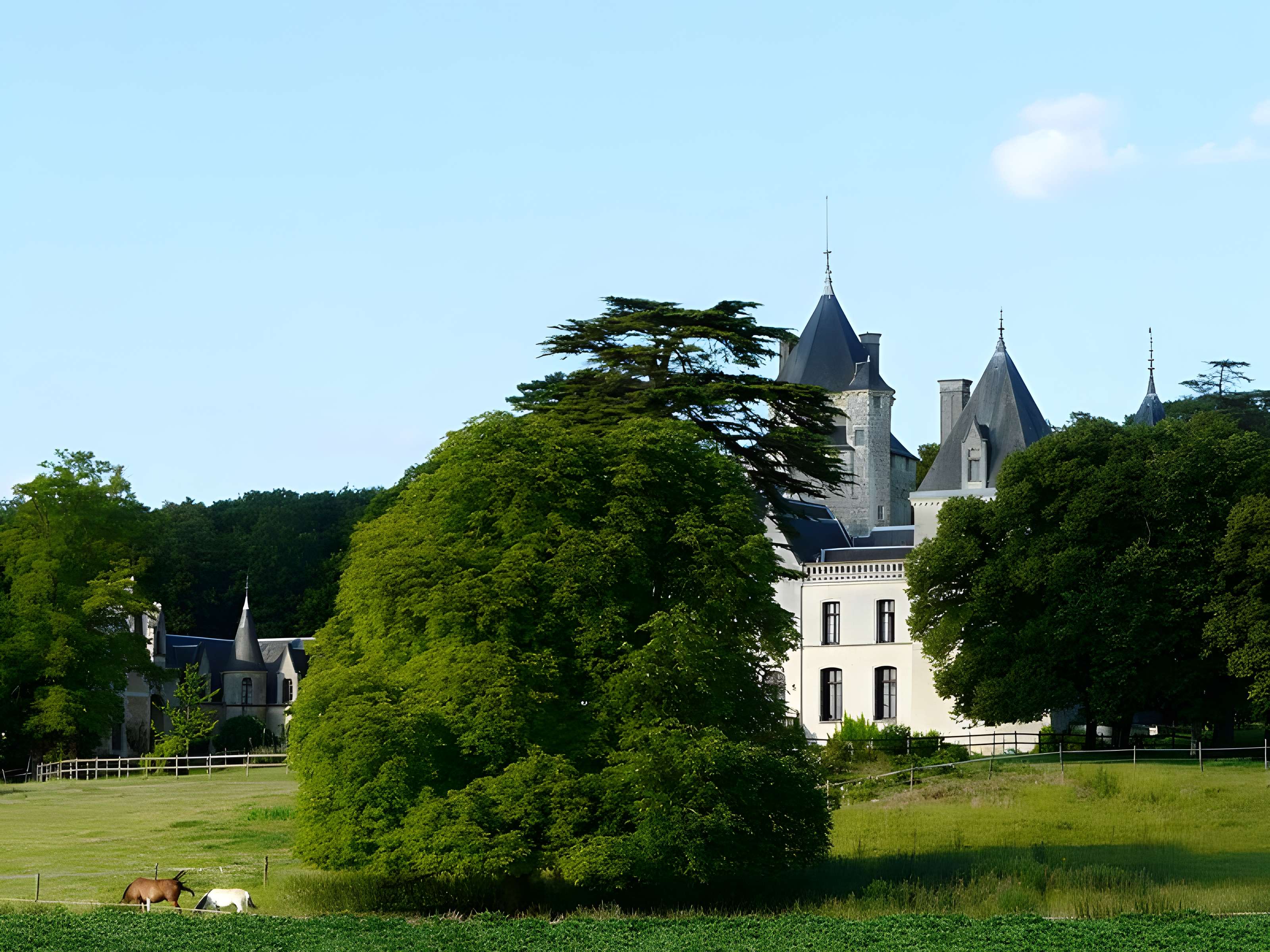 Château de Ternay