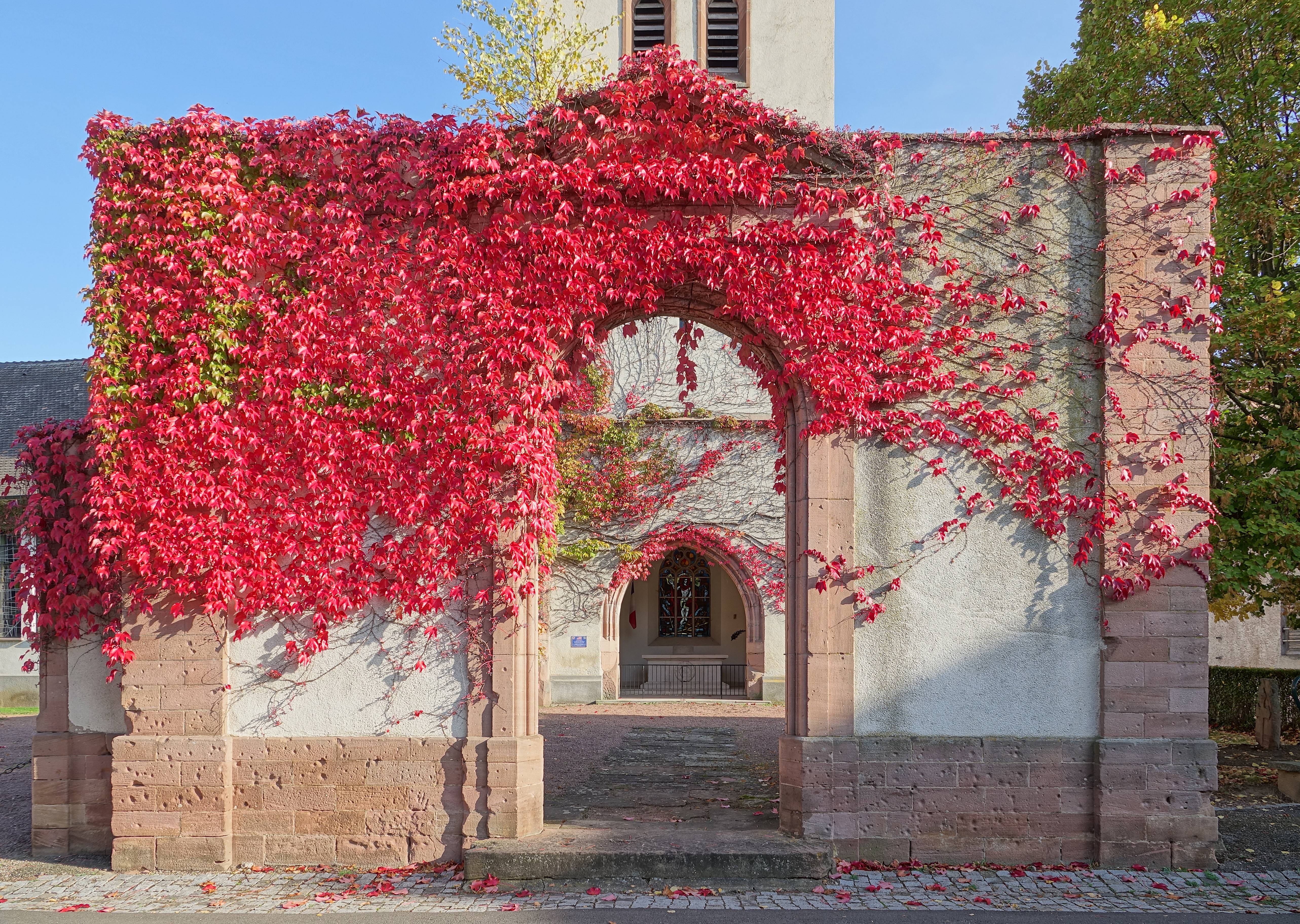 Photo de 米特尔维赫尔新教教会