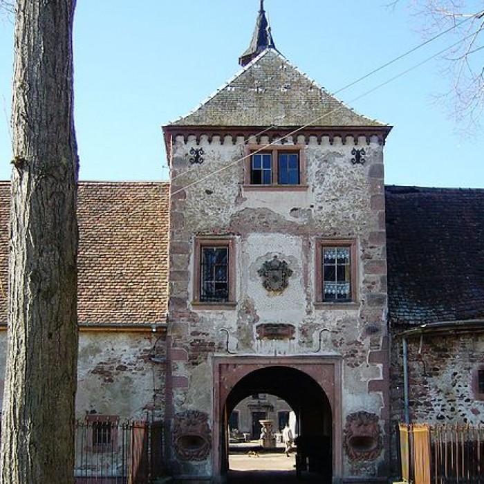 Photo de Château de Thanvillé