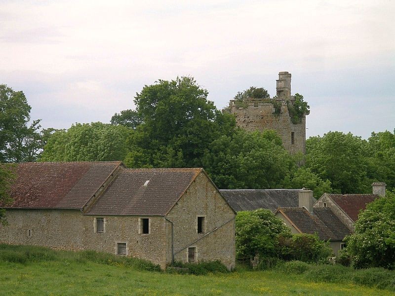 Photo de Château de Tournebu