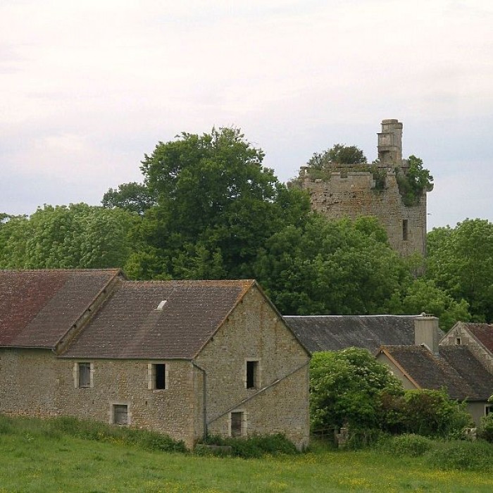 Photo de Château de Tournebu