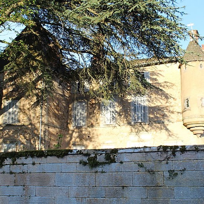 Photo de Château de Tramayes