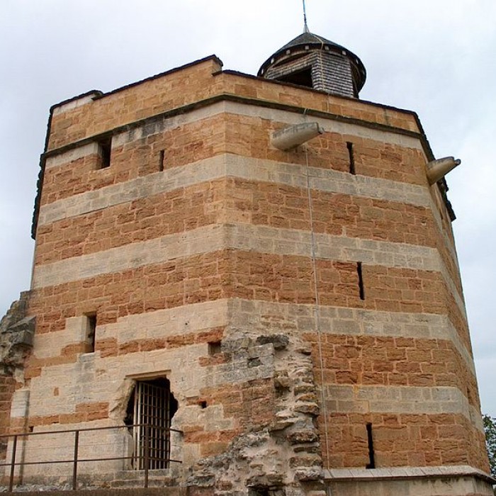 Photo de Château de Trévoux