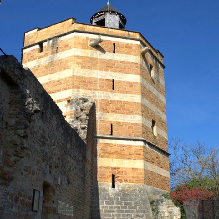 Photo de Château de Trévoux