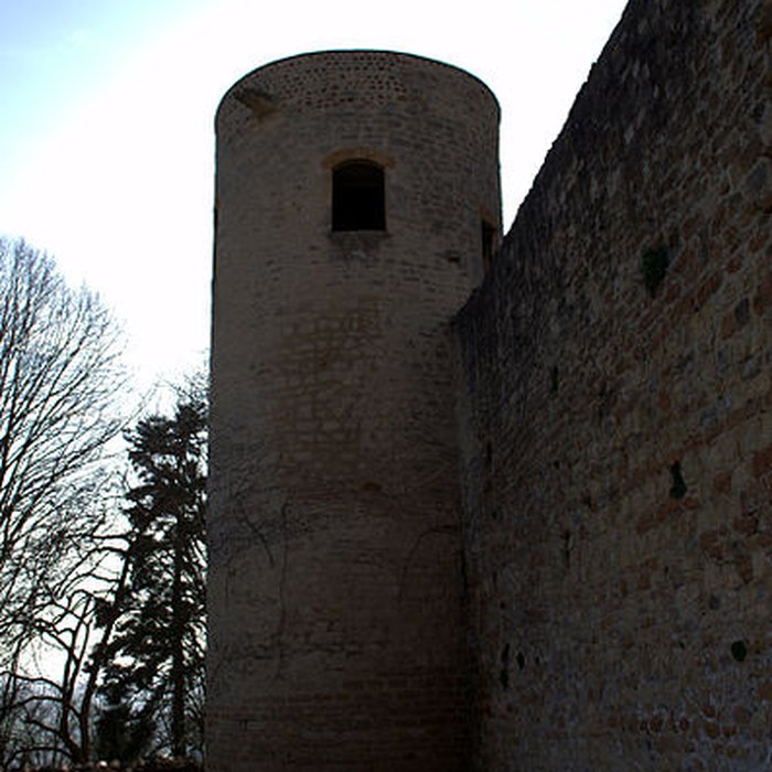Photo de Château de Trévoux