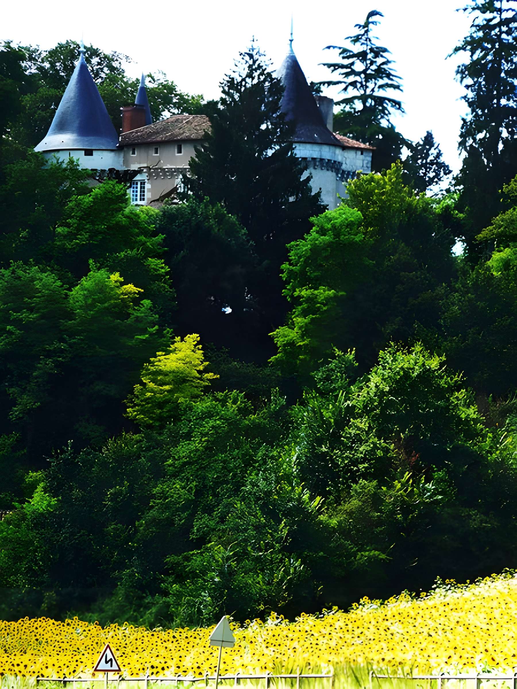 Château de Trigonant
