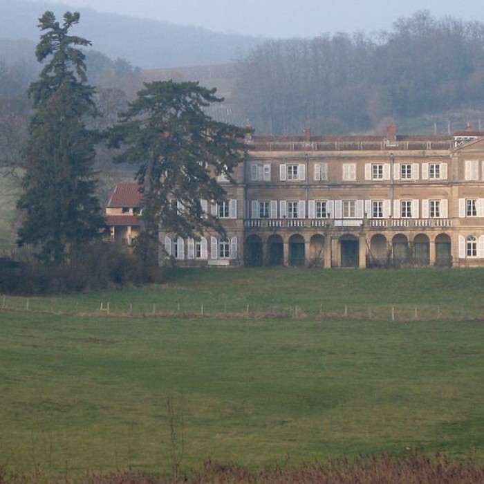 Photo de Château de Vaux-sous-Targe