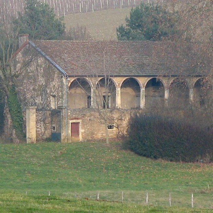 Photo de Château de Vaux-sous-Targe