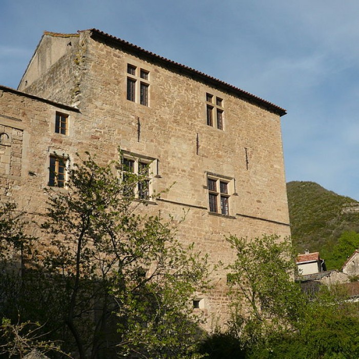 Photo de Château de Versols