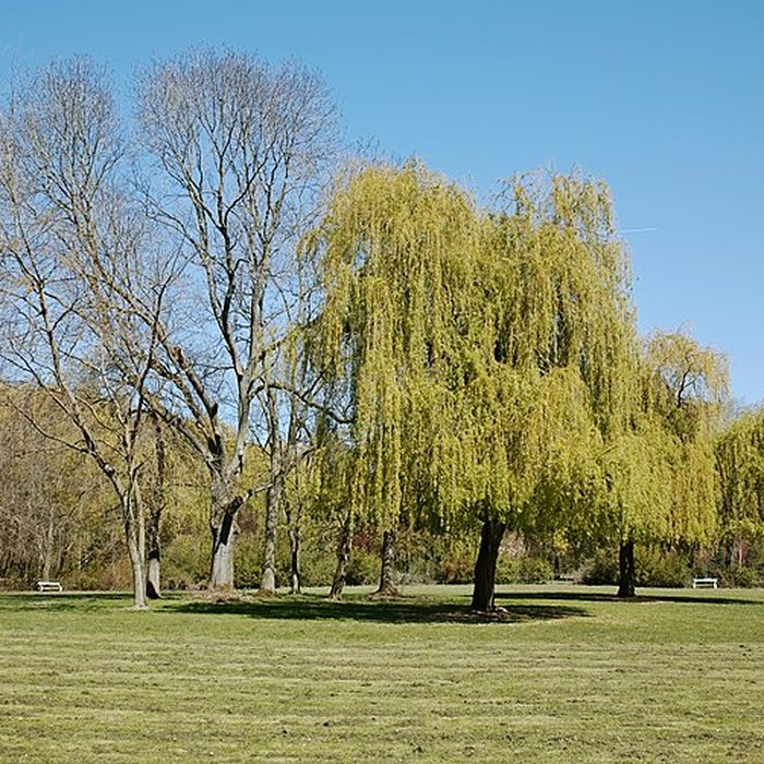Photo de Château de Vert-Bois