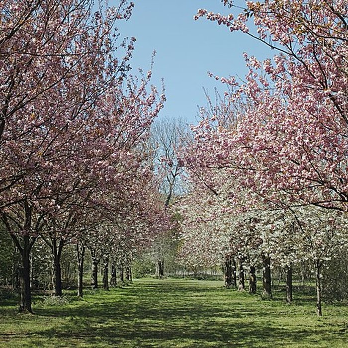 Photo de Château de Vert-Bois
