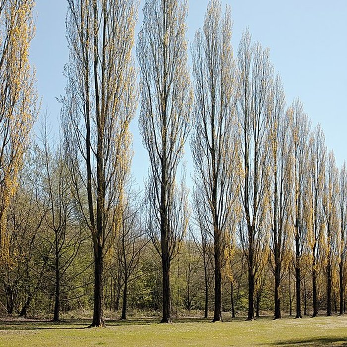 Photo de Château de Vert-Bois