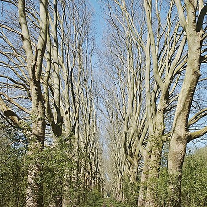 Photo de Château de Vert-Bois