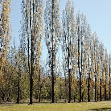 Château de Vert-Bois