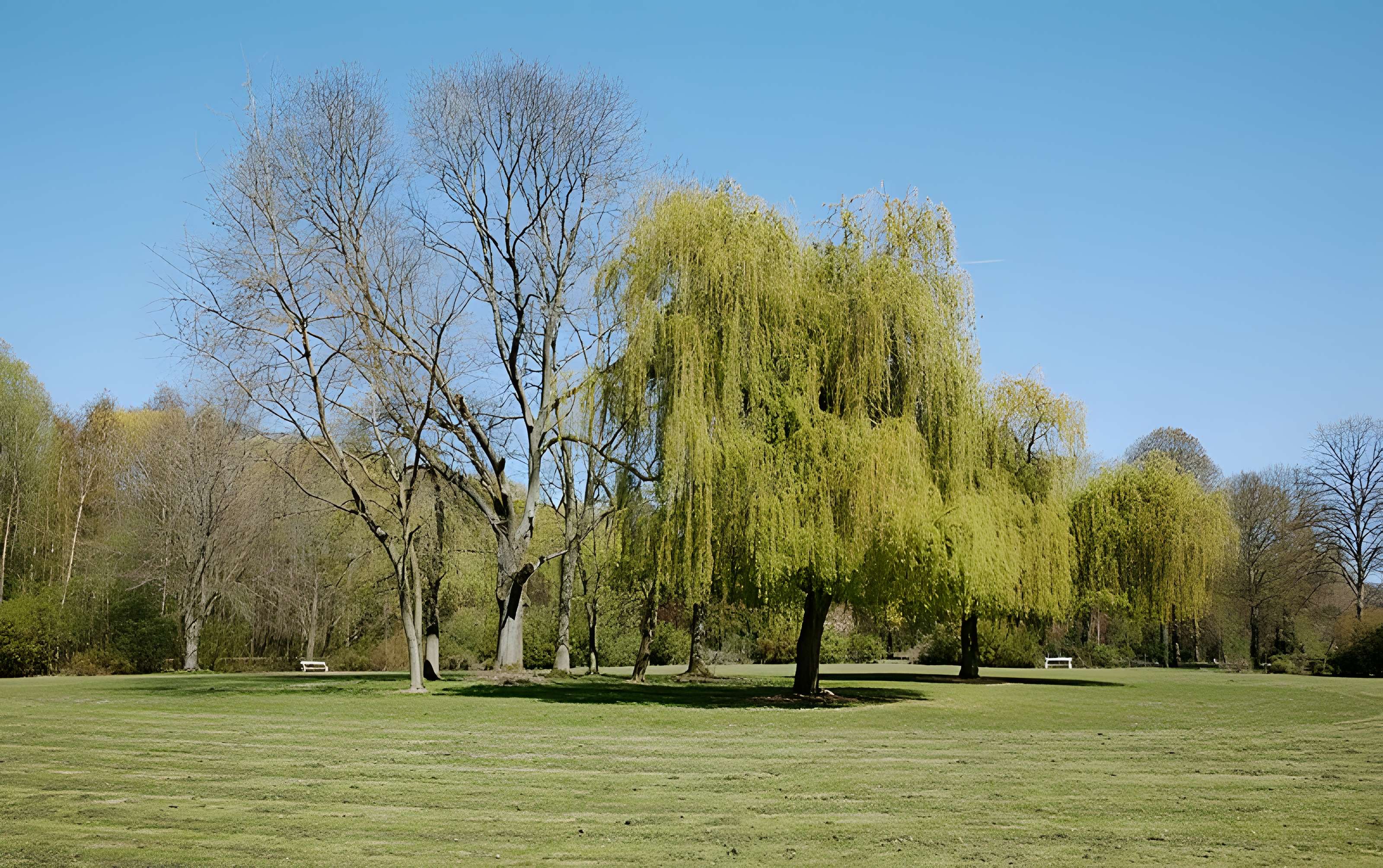 Château de Vert-Bois