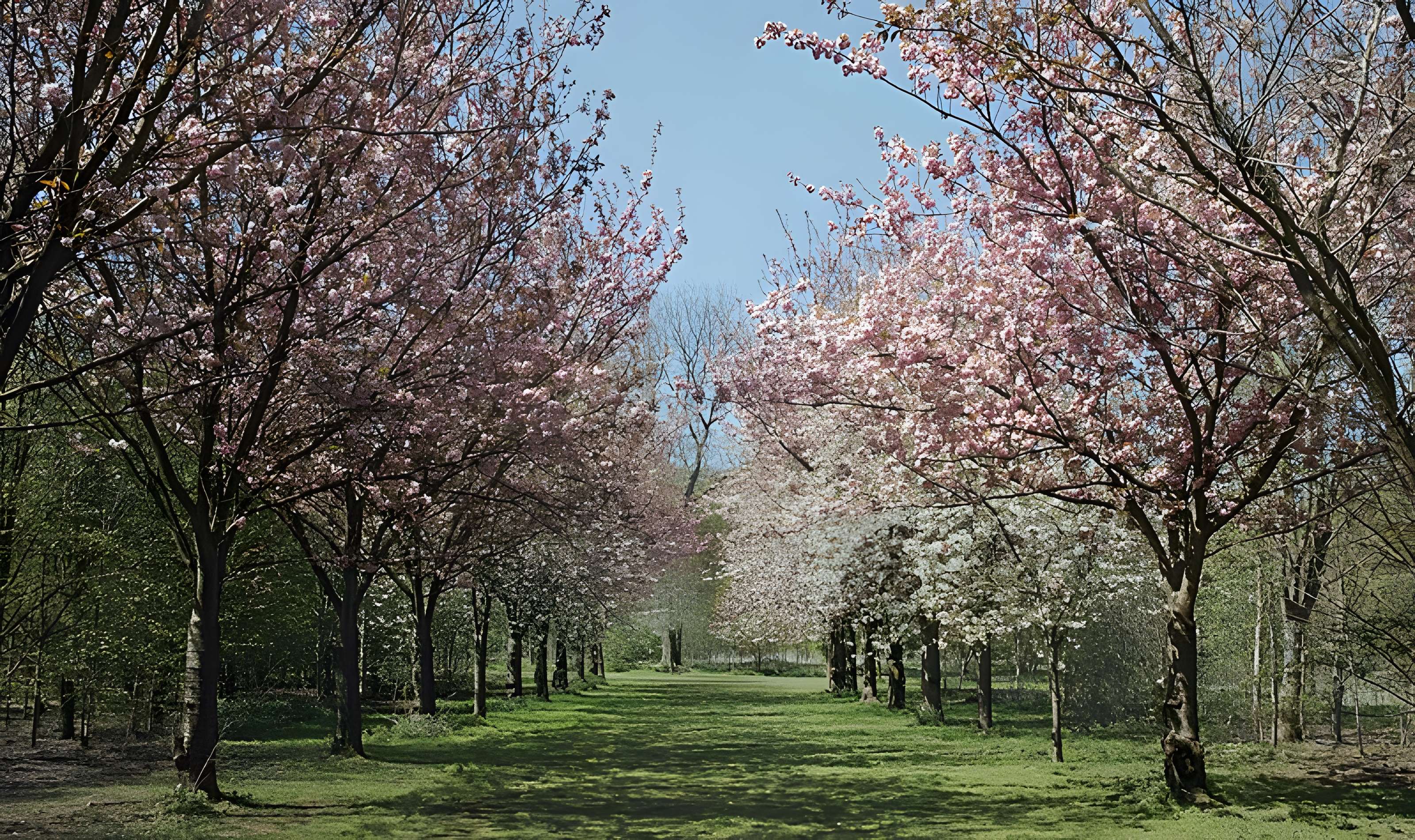 Château de Vert-Bois
