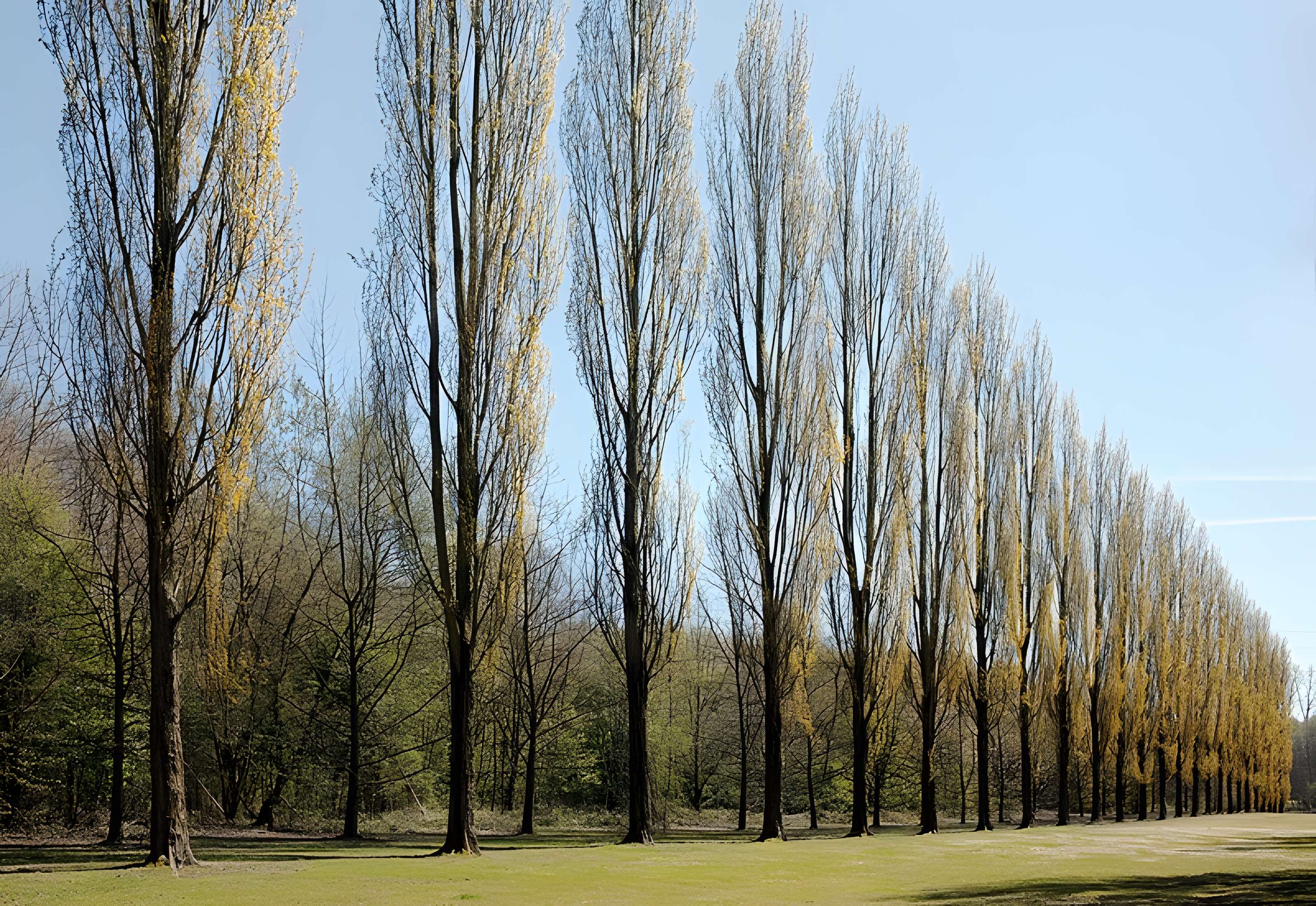 Château de Vert-Bois