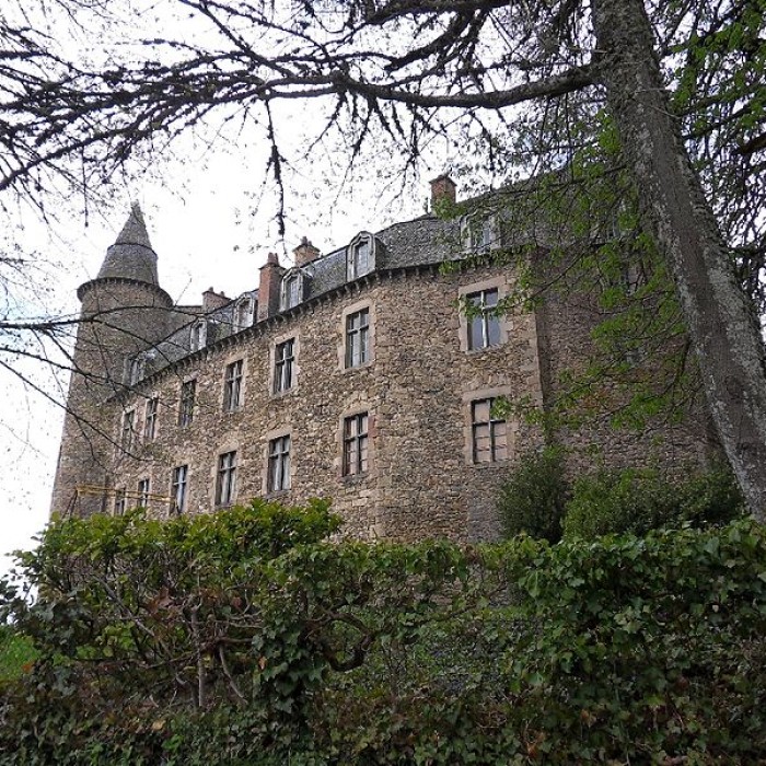 Photo de Château de Vezins