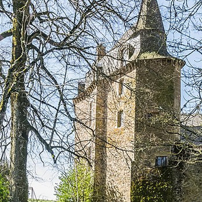 Photo de Château de Vezins