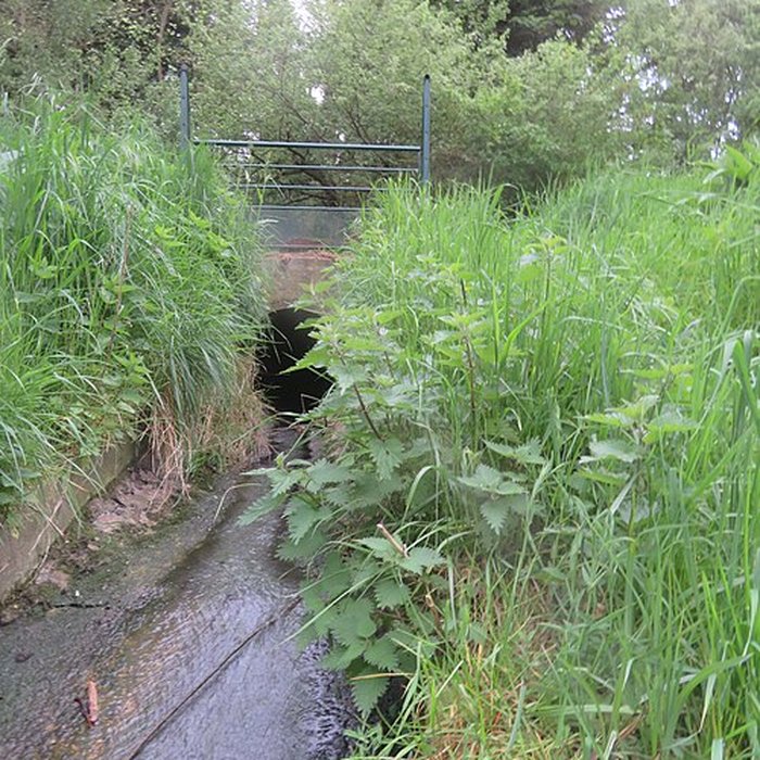 Photo de Château de Vilgénis