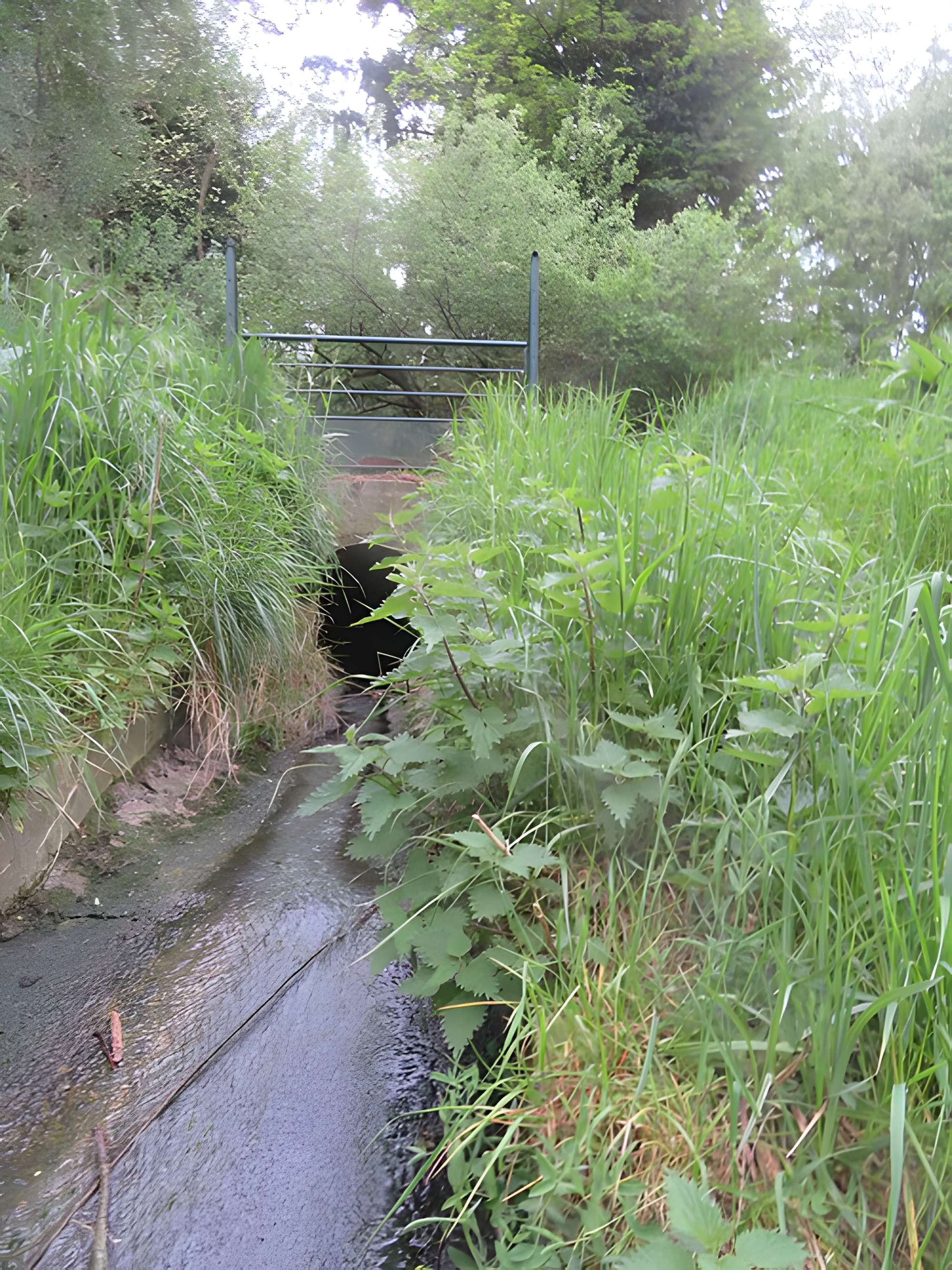 Château de Vilgénis
