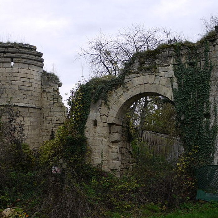 Photo de Château de Ville-Savoye