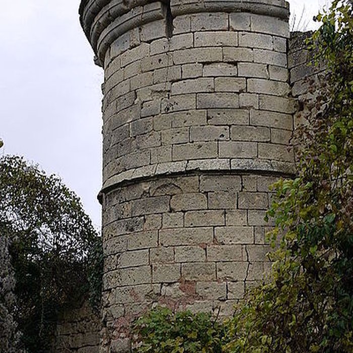 Photo de Château de Ville-Savoye