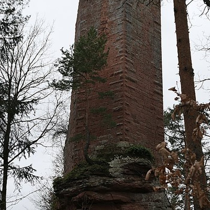 Photo de Château de Wineck