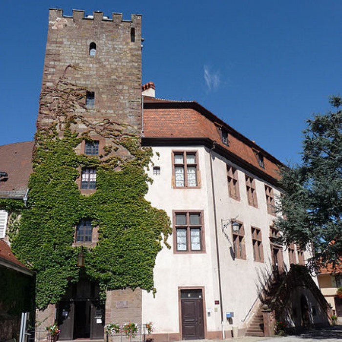 Photo de Château de Woerth