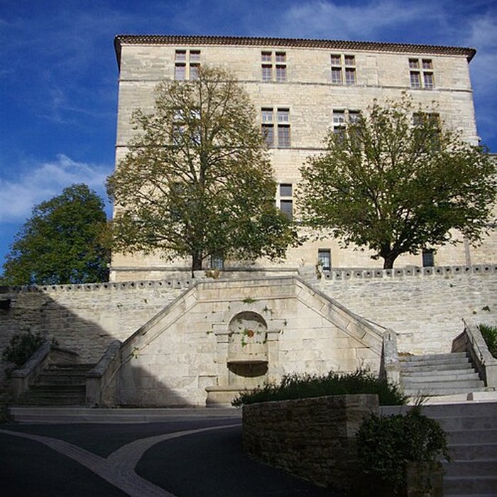 Photo de Château des Comtes du Roure