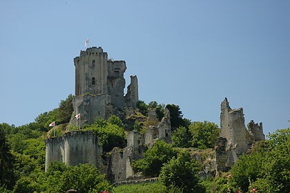 Photo de Château de Lavardin