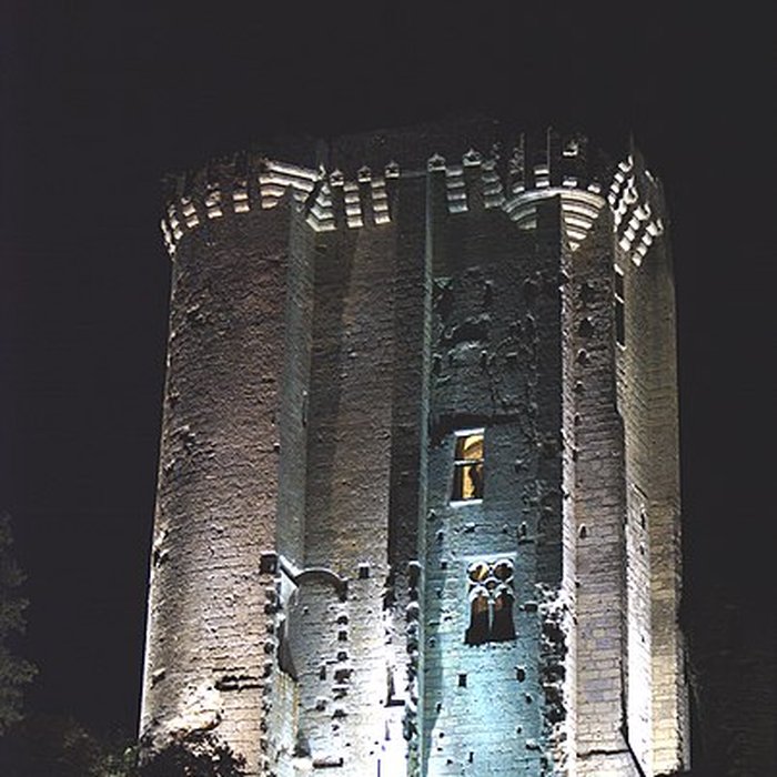 Photo de Château de Lavardin